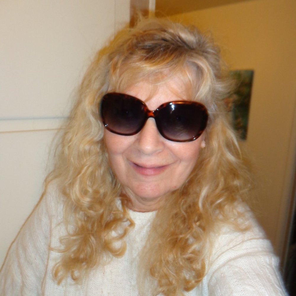New Dragonfly Designer Sunglasses in Brown Leopard Design